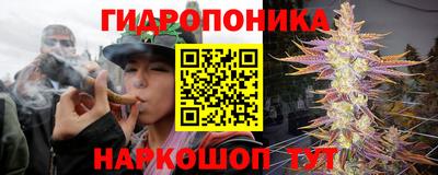 Альфа ПВП Пугачёв